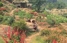 Chiang Mai Iconic Temples and City Tour