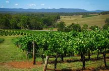 Private Luxury Tour: Tastes of the Hunter Valley