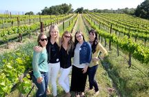 Santa Barbara Small-Group Wine Tour to Private Estates & Wineries