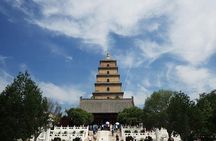 Xian Terracotta Warriors and Horses Highlight Day Tour