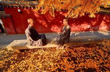 Luoyang Private Day Tour of Shaolin Temple and Longmen Grottoes 