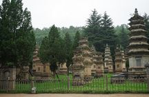 Louyang Day Tour from Xian: Longmen Grottoes and Shaolin Temple