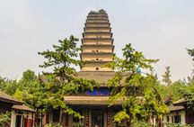 Classic Xi'an City Bus Tour