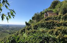 A Sparkling Day in the Prosecco Hills from Venice by Yellowboot