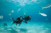 Beginners Scuba Diving Experience in Gran Canaria