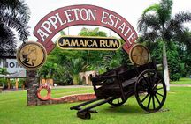 Private Appleton YS Falls and Black River Tour from Montego Bay