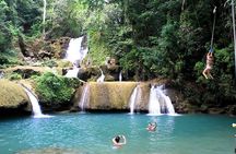 YS Falls & Black River safari