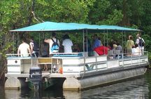 Private Black River Safari Tour from Montego Bay