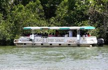 Private Black River Safari Tour from Montego Bay