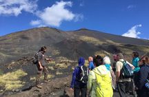 Morning excursions Etna / Etna Morgen Tour