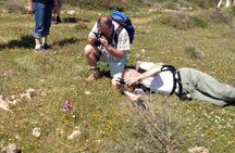 Morning excursions Etna / Etna Morgen Tour