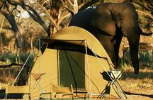 2-Day Camping Safari in Chobe National Park from Victoria Falls