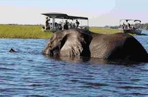 Chobe National Park 4X4 Day Safari and River Cruise