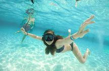 Cozumel Catamaran Snorkeling Tour & Lunch (show up PDC)