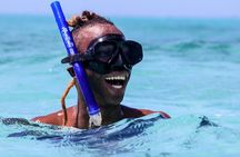 Cozumel Catamaran Snorkeling Tour & Lunch (show up PDC)