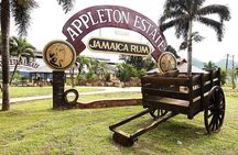 Appleton Estate Rum Tour and Tasting from Ocho Rios