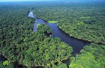 “6-in-1 Tour: Cahuita National Park, Tortuguero Canals & More!”