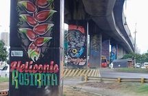 Full Day Private Medellin City, Street Art and Food Tour