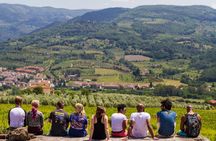 Full-Day Tuscan Countryside Bike Tour