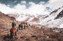 The Real Gaucho Day Trip from Mendoza - Don Daniel Ranch
