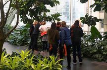 Calgary Outdoor Escape Games - Riotous Roundup