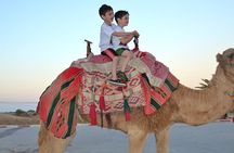 Dubai: Morning Desert Safari
