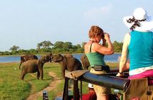 VALUE PACK! One Day Safari Tour to Yala and Udawalawa Parks