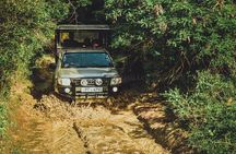 VALUE PACK! One Day Safari Tour to Yala and Udawalawa Parks