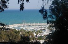 day full carthage _sidi bou said _museum of Bardo and the medina of Tunis