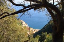 Discovering Amalfi coast via Amalfi - Pogerola by walking 