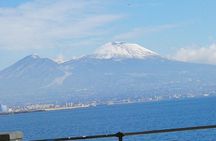  Pizza Tour | Vesuvius & Pompeii included pizza with driver