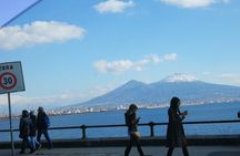  Pizza Tour | Vesuvius & Pompeii included pizza with driver