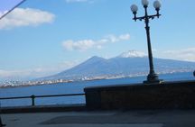  Pizza Tour | Vesuvius & Pompeii included pizza with driver