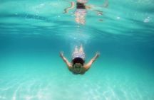 All-Inclusive Catamaran Tour | Beaches & Sea Lions from Los Cabos