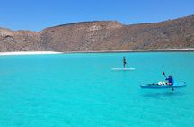 All-Inclusive Catamaran Tour | Beaches & Sea Lions from Los Cabos