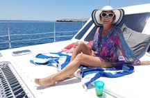 All-Inclusive Catamaran Tour | Beaches & Sea Lions from Los Cabos