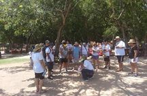 Chichen Itza Basic Tour: Sacred Cenote, Lunch, and Valladolid 