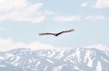 4x4 Private Photo Safari in the Andes - Villavicencio