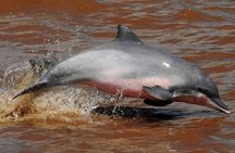 Dive into the Heart of the Wild at Caiman Eco-Lodge Cuyabeno!