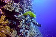 PADI Underwater Naturalist 
