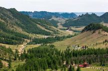 1 Day Coach Tour of Terelj National Park Including Lunch And Free Camel Ride