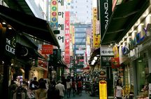 Private Seoul City Tour