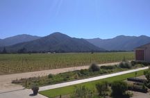 Private Casa Blanca Valley Wine Experience from Santiago