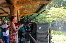 Ho Chi Minh City: Half-day Underground Secrets Of Cu Chi