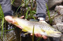 Arctic River Fishing Tour