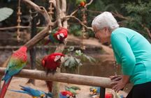 Bird Park & Iguassu Brazilian Side - Private Tour