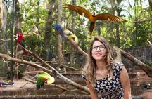 Bird Park & Iguassu Brazilian Side - Private Tour