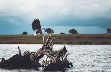 All Inclusive Private Safari at Yala and Bundala National Parks with Lunch