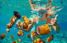 Catamaran Snorkeling All-Inclusive Day-Trip