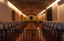 Half Day Trip to Concha y Toro Vineyard from Santiago - Wine Tasting Included